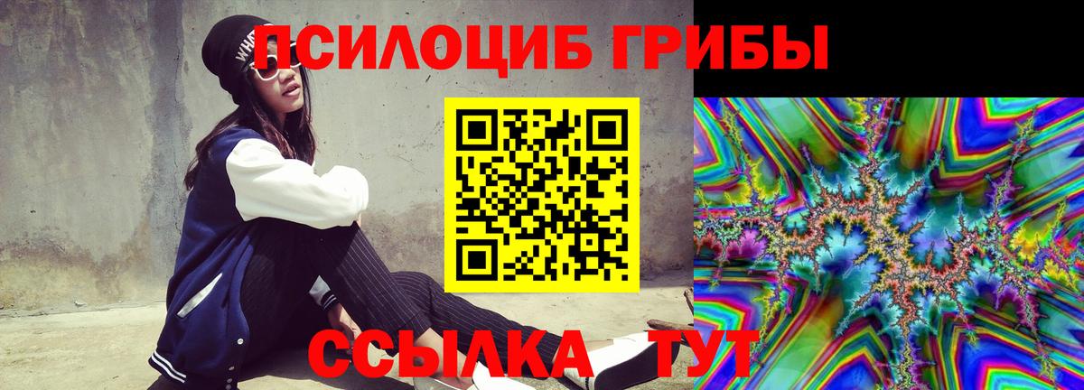 Галлюциногенные грибы прущие грибы Кизляр