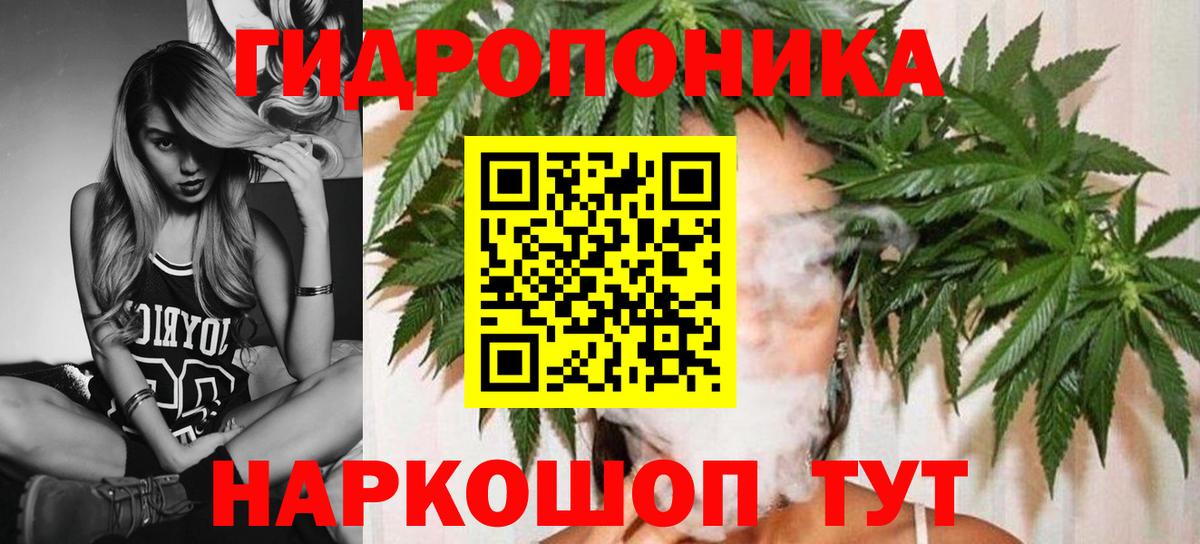 Бошки Шишки SATIVA & INDICA Кизляр
